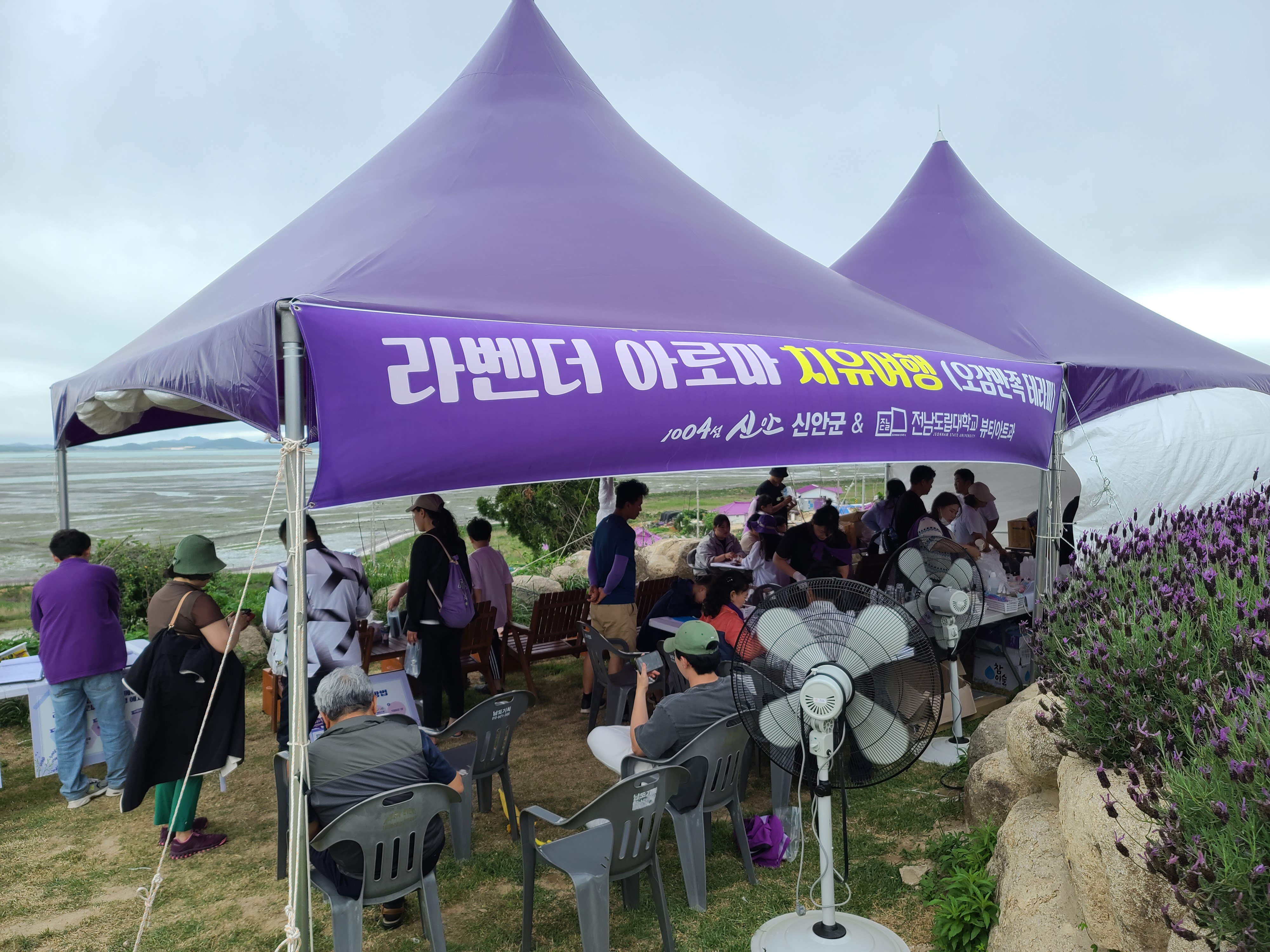 신안 행사 2.jpg