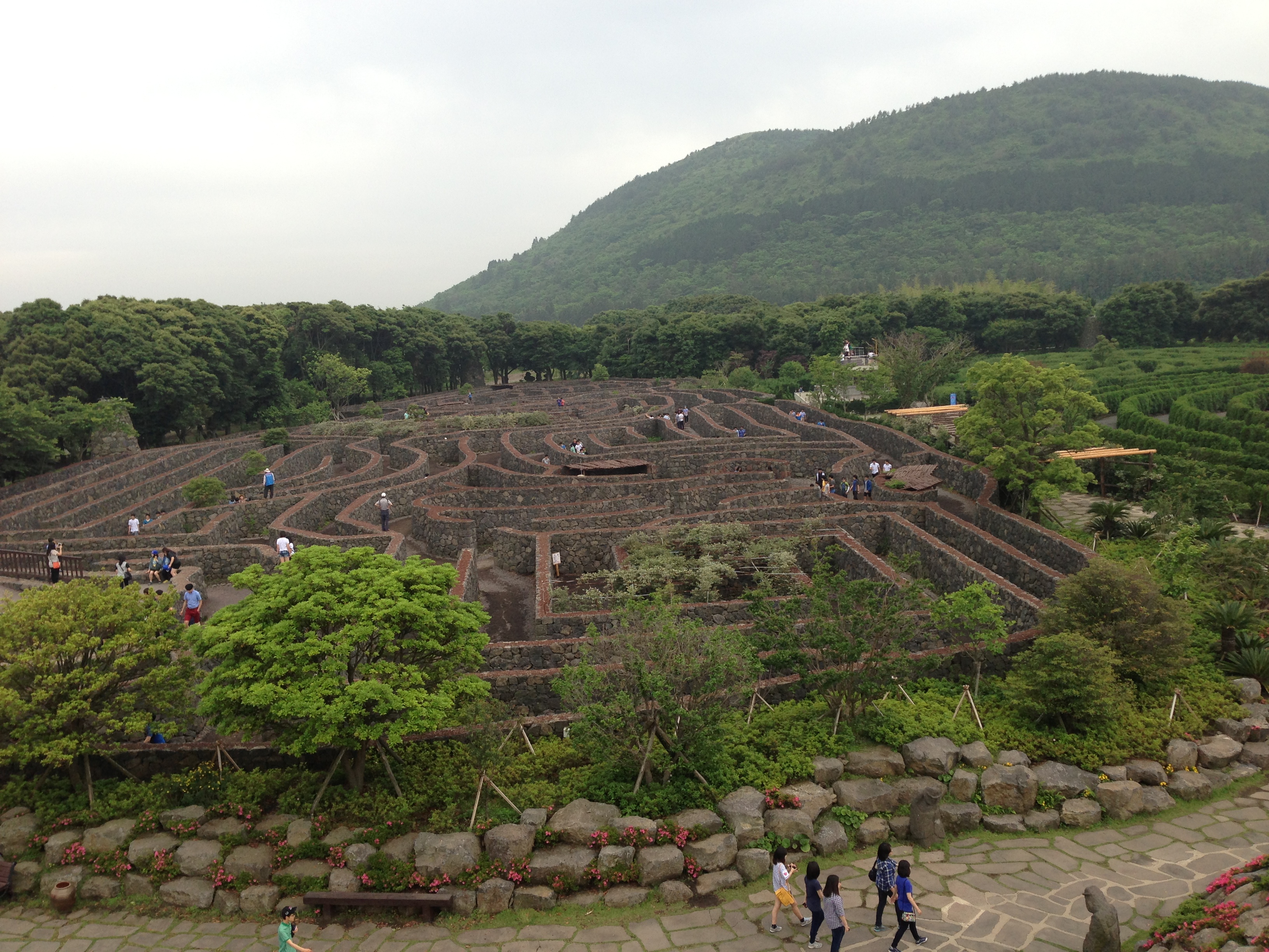순천 제주도 155.jpg