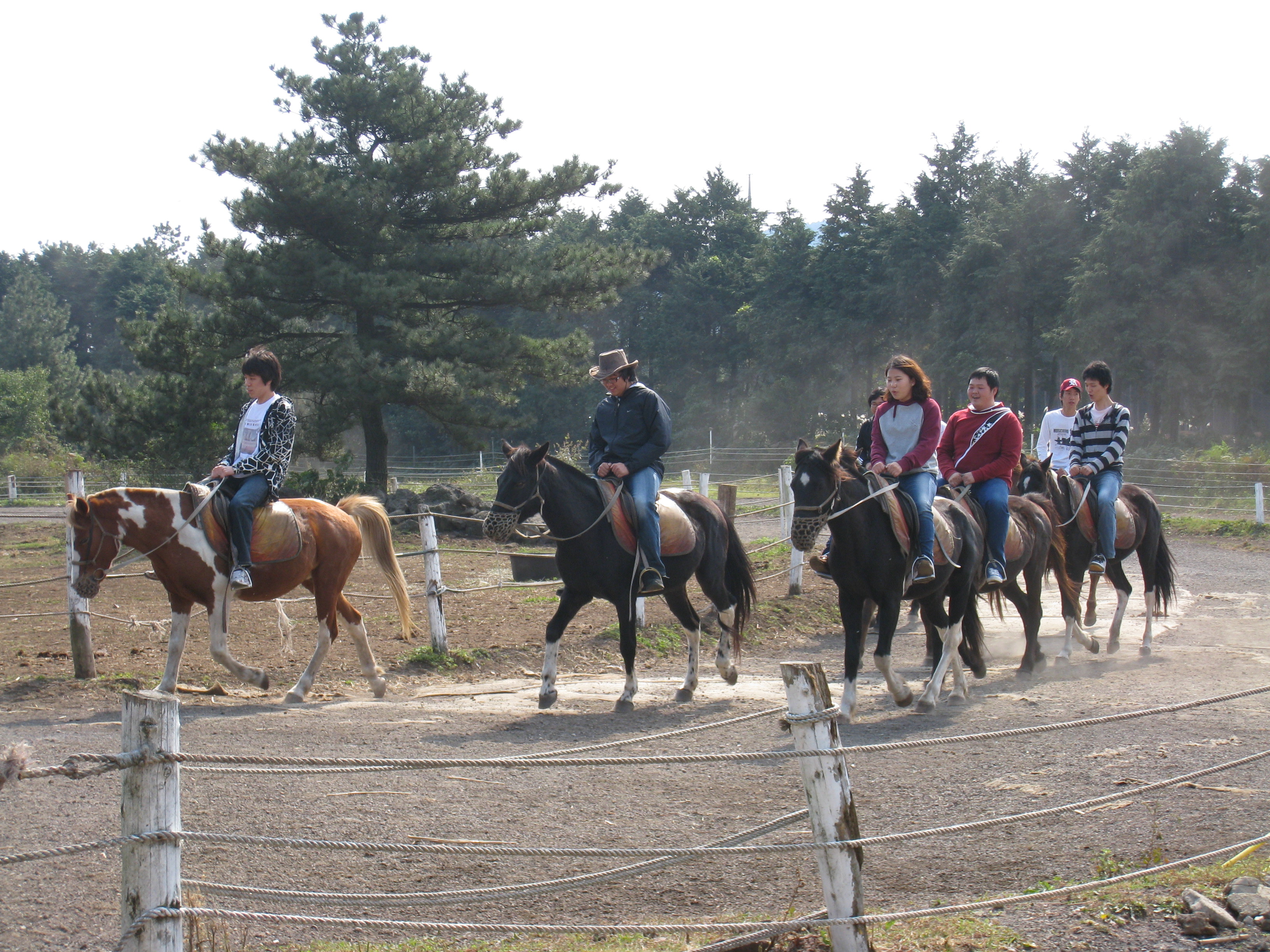 승마체험.jpg