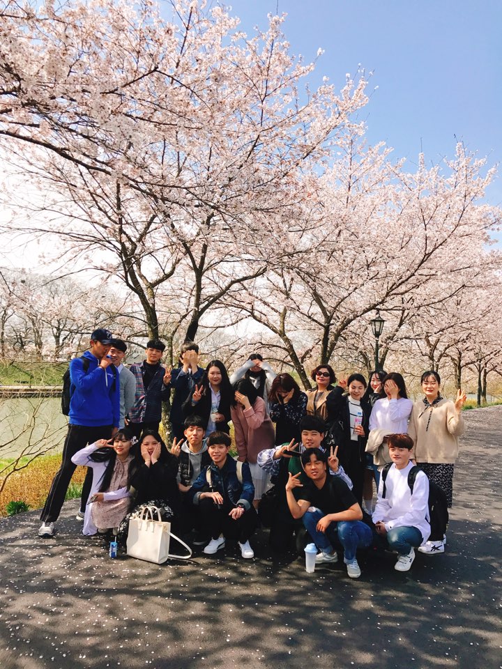 벚꽃1(단체1).jpg