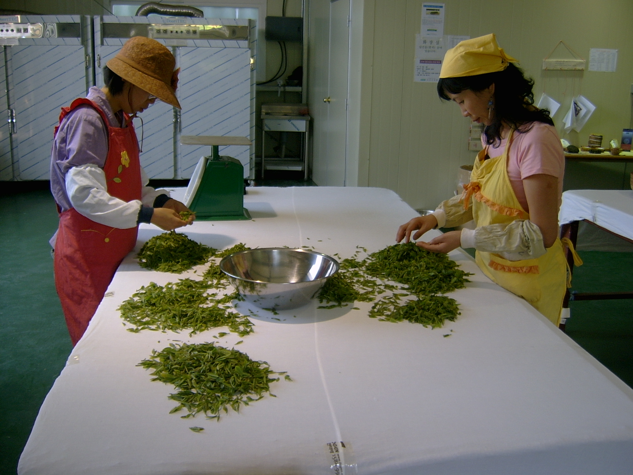 제다실습1 051.jpg